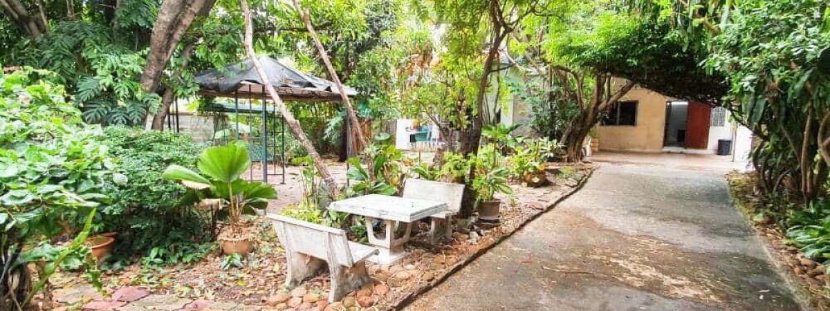 HNRSALEบ้านตรงข้ามเดอะมอลล์งามวงศ์วาน 01