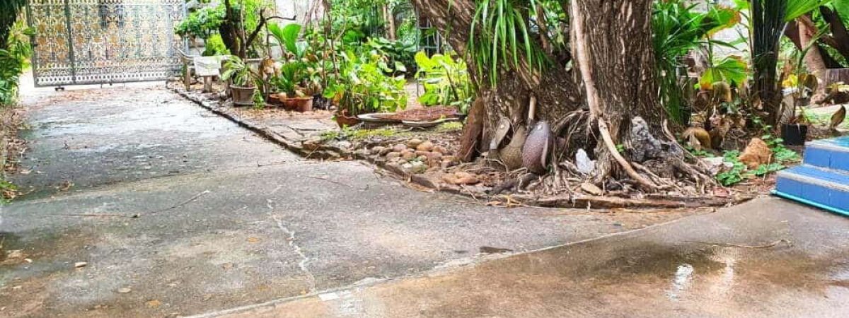 HNRSALEบ้านตรงข้ามเดอะมอลล์งามวงศ์วาน 02